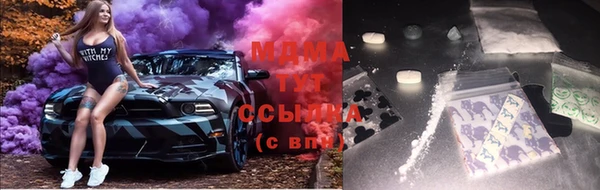 гашик Алексин