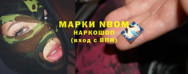 гашик Алексин