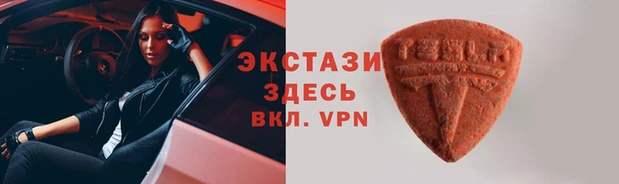 гашик Алексин