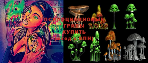 дмт Алексеевка