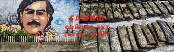 гашик Алексин