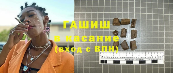 гашик Алексин