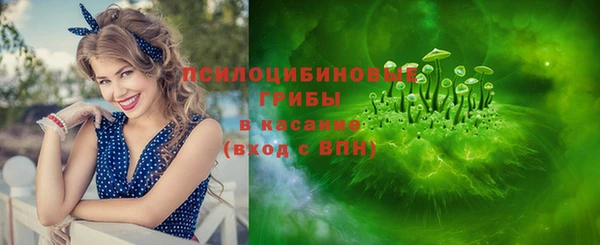 гашик Алексин