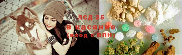 гашик Алексин