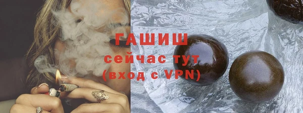 гашик Алексин
