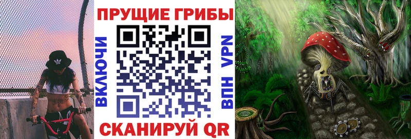Галлюциногенные грибы мицелий  это официальный сайт  Ревда  купить  цена 