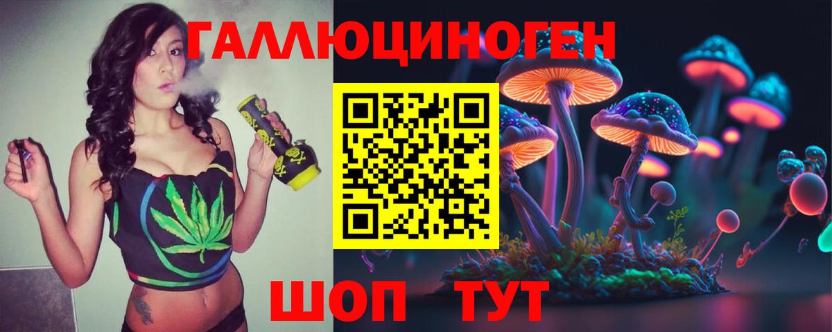 Ревда  Псилоцибиновые грибы Psilocybine cubensis  Вход с VPN 