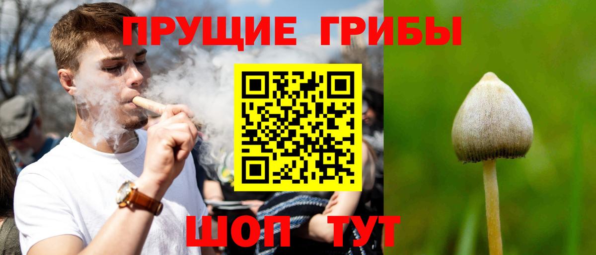 Галлюциногенные грибы Cubensis Ревда